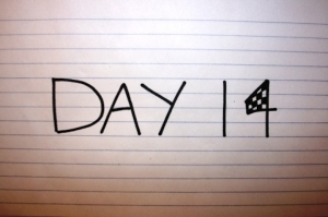 day-14