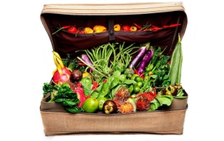 suitcase and vegetables