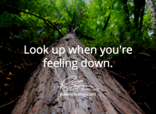 Look Up When You're Feeling Down