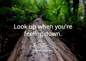 Look Up When You're Feeling Down