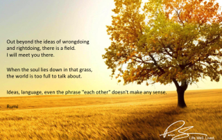 Out beyond the ideas of wrongdoing and rightdoing, there is a field...
