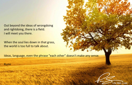 Out beyond the ideas of wrongdoing and rightdoing, there is a field...